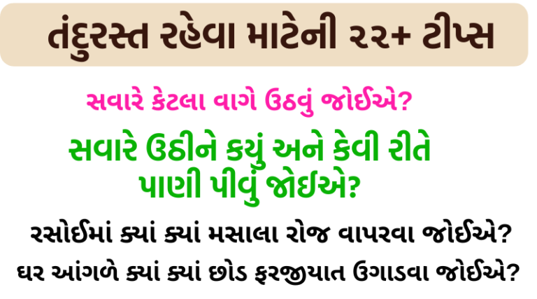 હમેશા તંદુરસ્ત રહેવા અપનાવો આ ૨૨ હેલ્થ ટીપ્સ