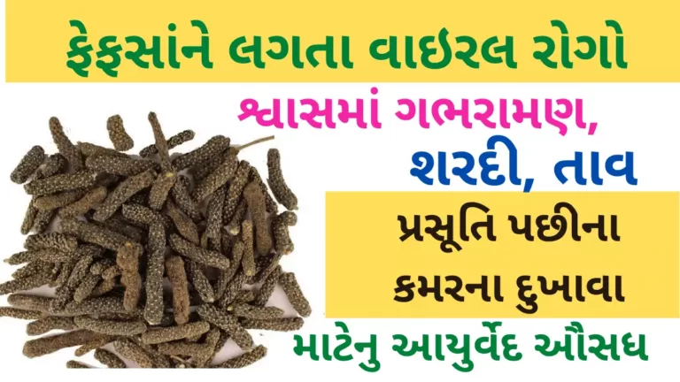 ફેફસાંને લગતા વાઇરલ રોગો, શ્વાસમાં ગભરામણ, શરદી, તાવ  માટેનુ આયુર્વેદ ઔસધ