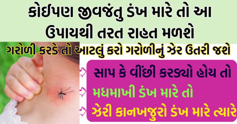 કોઈપણ જીવજંતુ ડંખ મારે તો આ ઉપાયથી તરત રાહત મળશે વાંચીને દરેક વ્યક્તિ સાથે શેર કરજો