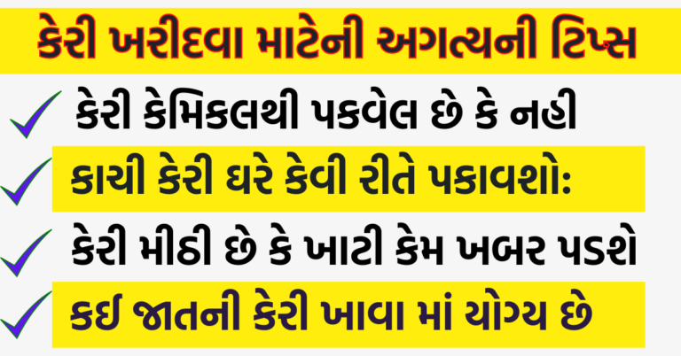 કેરી ખરીદવાની સાચી ટિપ્સ | કેરી સાચવણી ટિપ્સ | કેરી મીઠી છે કે ખાટી કેમ ખબર પડશે | કઈ જાતની કેરી ખાવા માં યોગ્ય છે