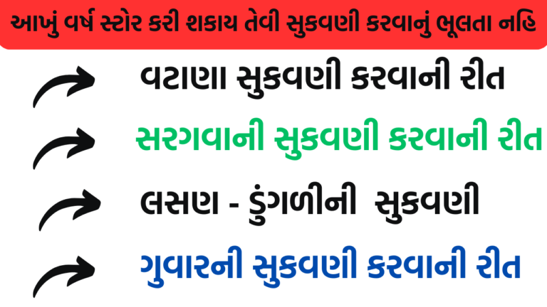 આખું વર્ષ સ્ટોર કરી શકાય તેવી સુકવણી કરવાનું ભૂલતા નહિ #વટાણા #સરગવા #લસણ #ડુંગળી