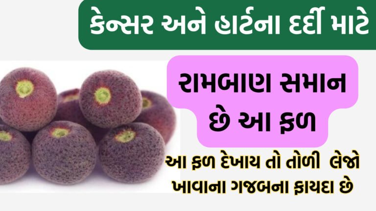 કેન્સર અને હાર્ટના દર્દી માટે રામબાણ સમાન છે આ ફળ | આ ફળ દેખાય તો તોળી લેજો ખાવાના ગજબના ફાયદા છે