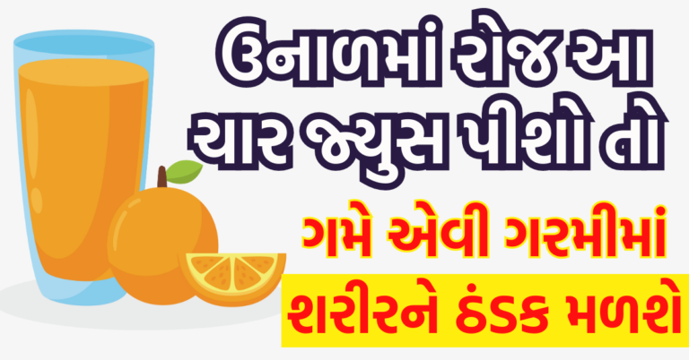 ઉનાળમાં આ ચાર જ્યુસ પીશો તો ગમે એવી ગરમીમાં શરીરને ઠંડક મળશે